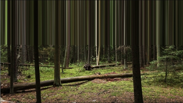60. Rain Avarmaa &quot;Ämblik&quot;